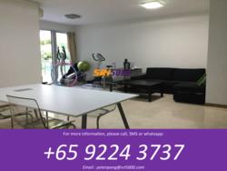 8 @ Mount Sophia (D9), Condominium #79351072